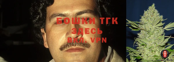 прущая мука Гусев
