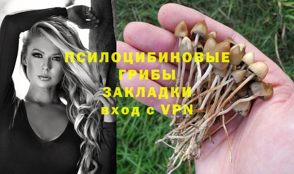 прущая мука Гусев
